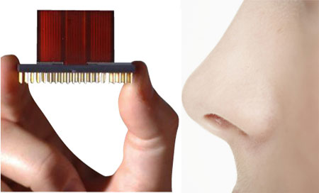 Desarrollan nuevos biosensores que distinguen entre olores